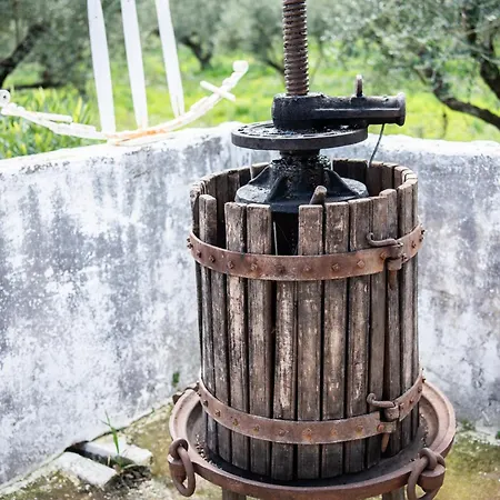 Mina's Art Loft With Panoramic Views Apartment