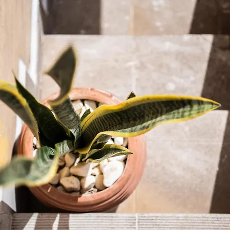 公寓 Mina's Art Loft With Panoramic Views Fiolítis