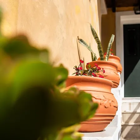 Mina's Art Loft With Panoramic Views Fiolitis