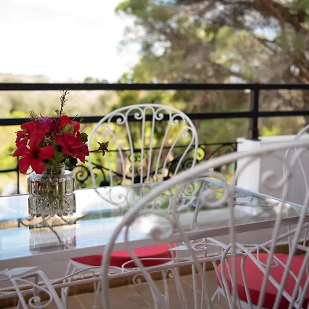 Mina's Art Loft With Panoramic Views 公寓 *