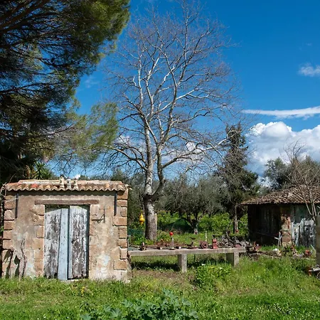 Apartment Mina's Art Loft With Panoramic Views *