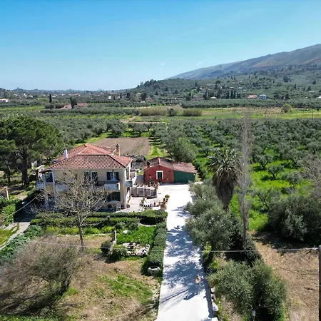 Apartment Mina's Art Loft With Panoramic Views Fiolitis